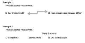 Exemples 1 et 2 : L’identification de genre, exemples de débordements d’un dispositif